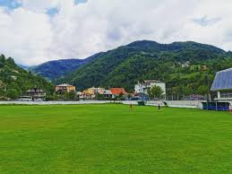 წლიური ფინანსური ანგარიშგება მოგება ზარალი ბალანსი